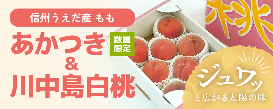 ＪＡ信州うえだオンライン通販サイト