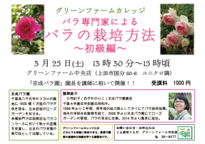 告知ちらし